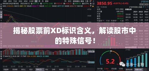 揭秘股票前XD標(biāo)識(shí)含義，解讀股市中的特殊信號(hào)！