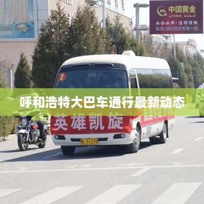 呼和浩特大巴車(chē)通行最新動(dòng)態(tài)