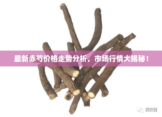 最新赤芍價(jià)格走勢(shì)分析，市場(chǎng)行情大揭秘！