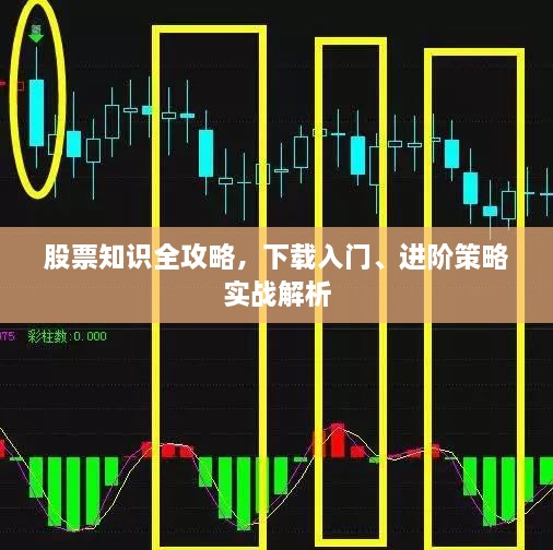 股票知識(shí)全攻略，下載入門、進(jìn)階策略實(shí)戰(zhàn)解析