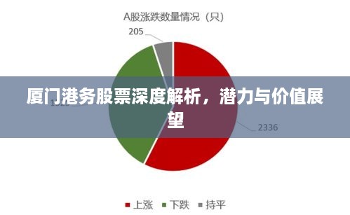 廈門港務(wù)股票深度解析，潛力與價值展望