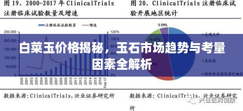 白菜玉價格揭秘，玉石市場趨勢與考量因素全解析