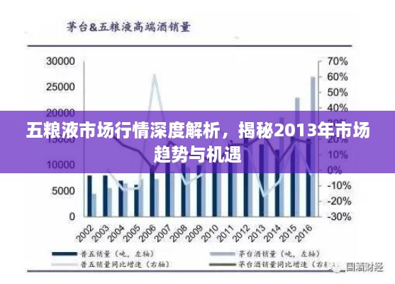 五糧液市場(chǎng)行情深度解析，揭秘2013年市場(chǎng)趨勢(shì)與機(jī)遇