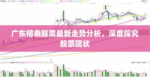 廣東榕泰股票最新走勢(shì)分析，深度探究股票現(xiàn)狀