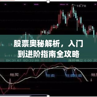 股票奧秘解析，入門到進(jìn)階指南全攻略