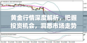 黃金行情深度解析，把握投資機會，洞悉市場走勢