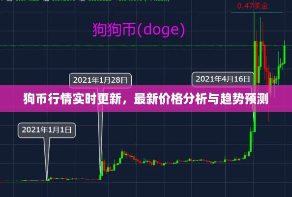 狗幣行情實(shí)時(shí)更新，最新價(jià)格分析與趨勢(shì)預(yù)測(cè)