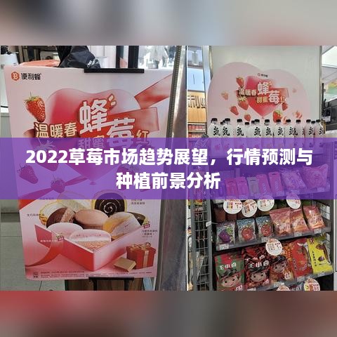 2022草莓市場(chǎng)趨勢(shì)展望，行情預(yù)測(cè)與種植前景分析