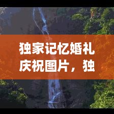 獨(dú)家記憶婚禮慶祝圖片，獨(dú)家記憶圖片唯美 