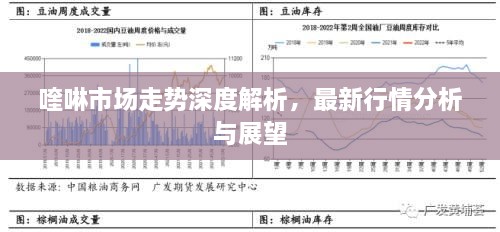 喹啉市場走勢深度解析，最新行情分析與展望