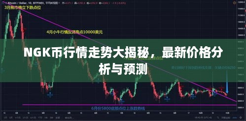 NGK幣行情走勢大揭秘，最新價(jià)格分析與預(yù)測