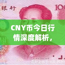 CNY幣今日行情深度解析，最新價(jià)格動(dòng)態(tài)一網(wǎng)打盡！