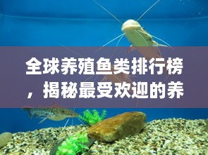 全球養(yǎng)殖魚類排行榜，揭秘最受歡迎的養(yǎng)殖魚類種類！