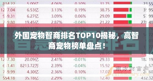 外國寵物智商排名TOP10揭秘，高智商寵物榜單盤點！