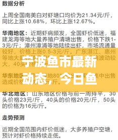 寧波魚市最新動態(tài)，今日魚價、市場走勢及影響因素全解析