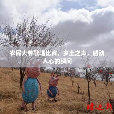 農民大爺歌唱比賽，鄉(xiāng)土之聲，感動人心的瞬間