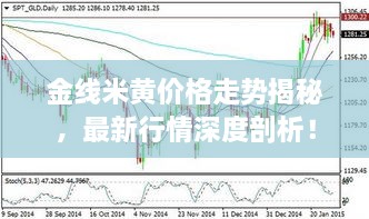 金線米黃價(jià)格走勢(shì)揭秘，最新行情深度剖析！