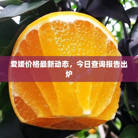 愛媛價(jià)格最新動(dòng)態(tài)，今日查詢報(bào)告出爐