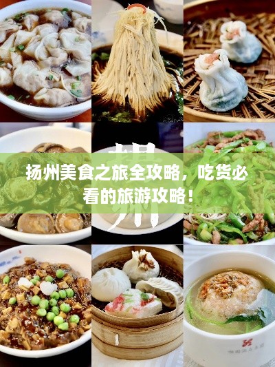 揚(yáng)州美食之旅全攻略，吃貨必看的旅游攻略！