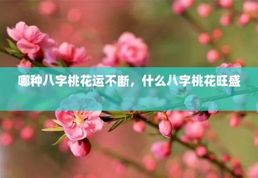 哪種八字桃花運不斷，什么八字桃花旺盛 