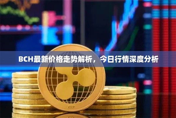 BCH最新價(jià)格走勢(shì)解析，今日行情深度分析