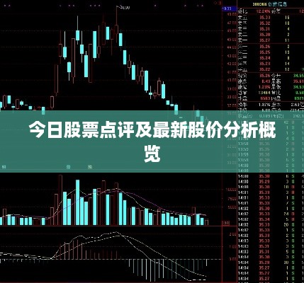 今日股票點(diǎn)評(píng)及最新股價(jià)分析概覽