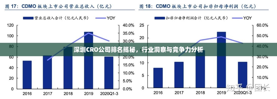 深圳CRO公司排名揭秘，行業(yè)洞察與競(jìng)爭(zhēng)力分析