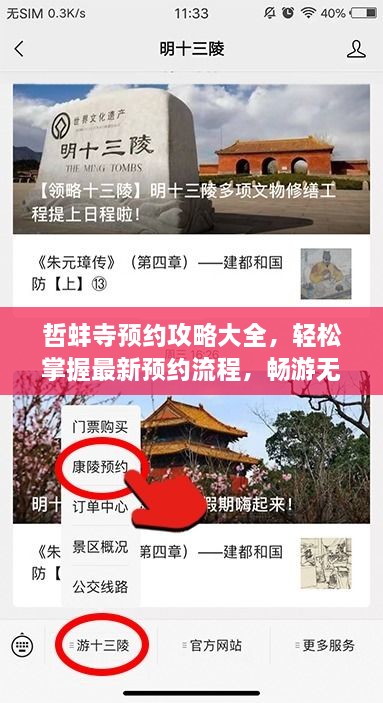 哲蚌寺預約攻略大全，輕松掌握最新預約流程，暢游無阻！