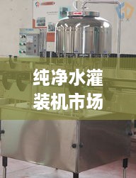 純凈水灌裝機(jī)市場走勢解析，最新行情深度探討