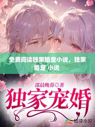 免費閱讀獨家婚寵小說，獨家婚寵 小說 