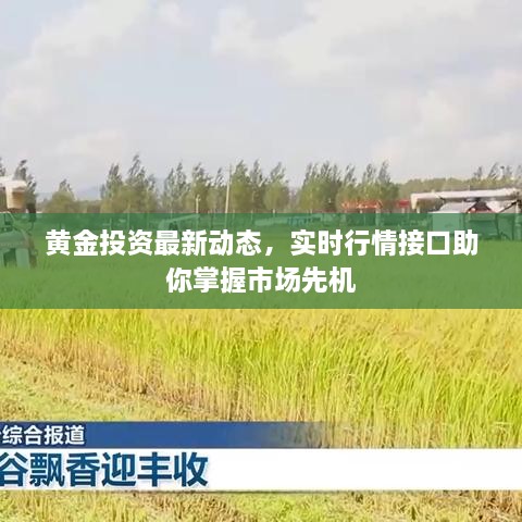 黃金投資最新動態(tài)，實時行情接口助你掌握市場先機