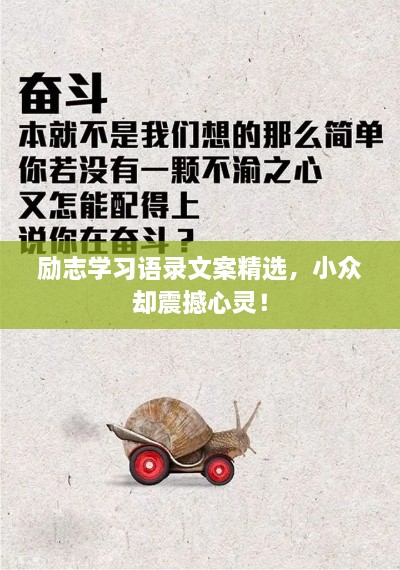 勵志學習語錄文案精選，小眾卻震撼心靈！