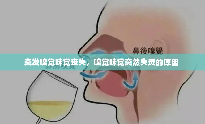 突發(fā)嗅覺味覺喪失，嗅覺味覺突然失靈的原因 