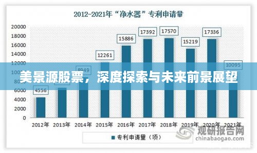 美景源股票，深度探索與未來前景展望