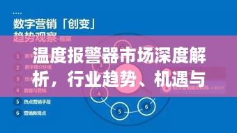 2025年1月27日 第13頁