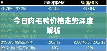 今日肉毛鴨價格走勢深度解析