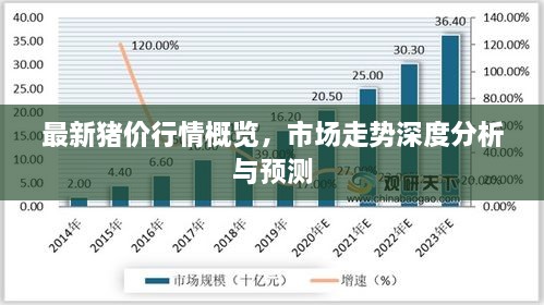 最新豬價(jià)行情概覽，市場(chǎng)走勢(shì)深度分析與預(yù)測(cè)