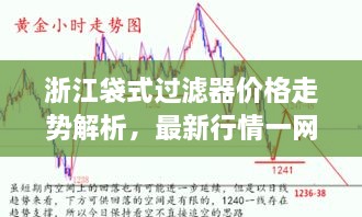 浙江袋式過(guò)濾器價(jià)格走勢(shì)解析，最新行情一網(wǎng)打盡！