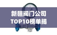 新疆閥門(mén)公司TOP10榜單揭曉，行業(yè)領(lǐng)軍者一覽無(wú)余