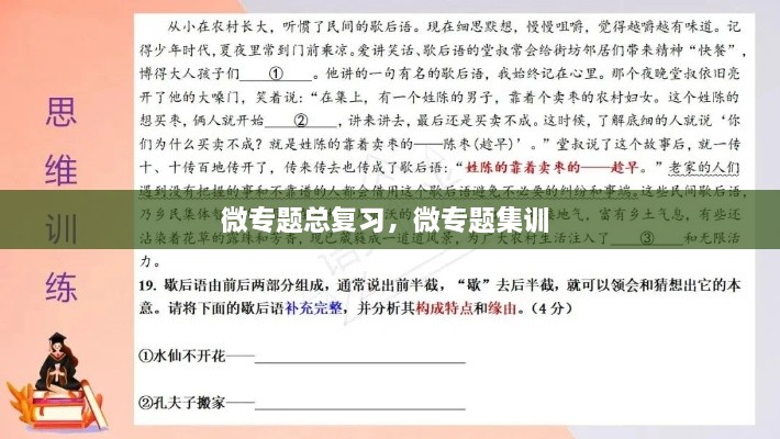 微專題總復習，微專題集訓 