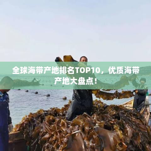 全球海帶產(chǎn)地排名TOP10，優(yōu)質(zhì)海帶產(chǎn)地大盤點！