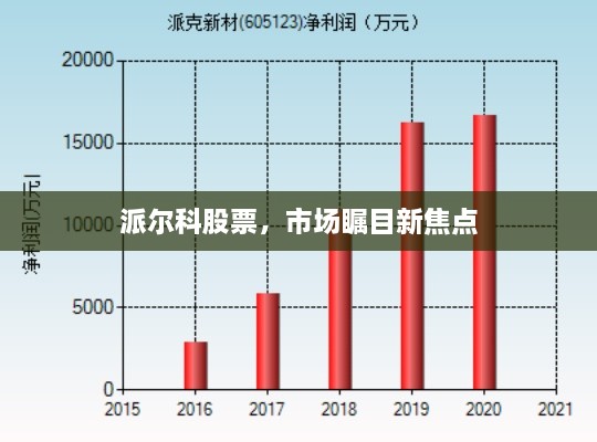 派爾科股票，市場矚目新焦點