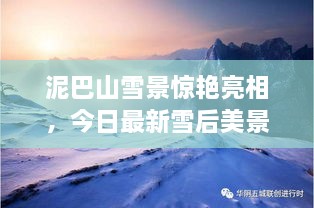 泥巴山雪景驚艷亮相，今日最新雪后美景報(bào)道！