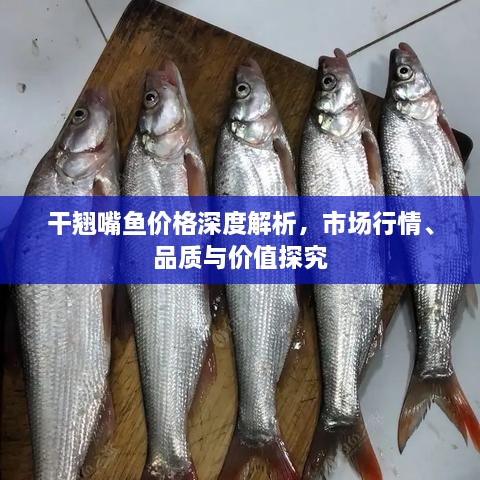 干翹嘴魚價格深度解析，市場行情、品質(zhì)與價值探究