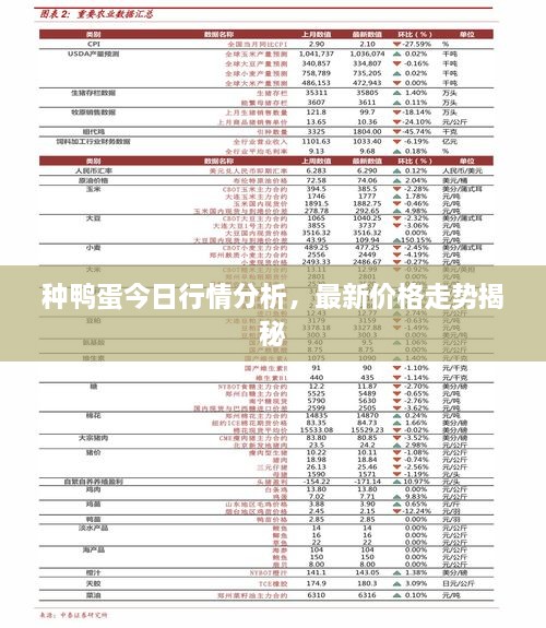 種鴨蛋今日行情分析，最新價(jià)格走勢(shì)揭秘