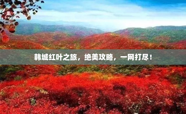 韓城紅葉之旅，絕美攻略，一網(wǎng)打盡！