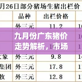 九月份廣東豬價走勢解析，市場行情、價格變動一網打盡