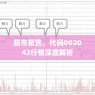 股市聚焦，代碼002042行情深度解析