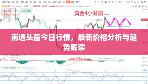 南通頭盔今日行情，最新價(jià)格分析與趨勢解讀