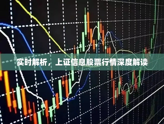 實時解析，上證信息股票行情深度解讀